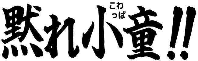 :sanadamaru_kowappa:
