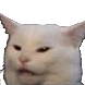 :meme_catto: