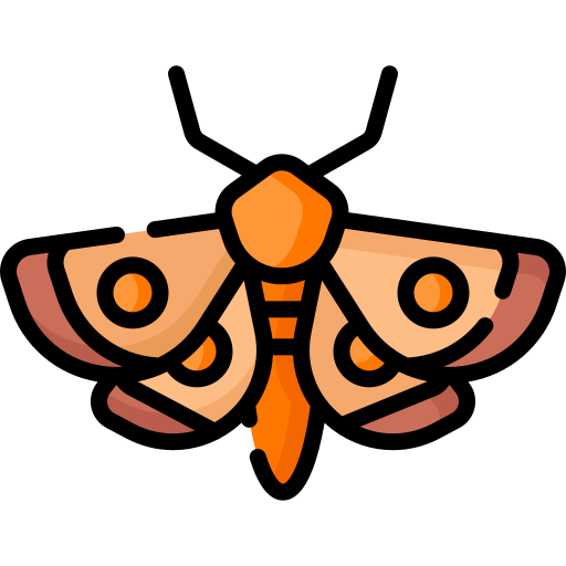 :moth: