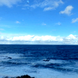 :sea_side: