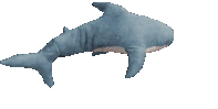:blahaj_spin: