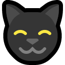 :cat_grin: